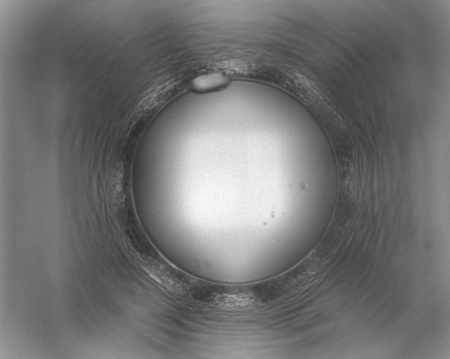 X0000056000548200509092048