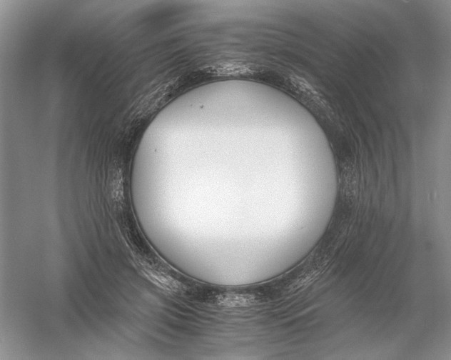 X0000056000549200509092048