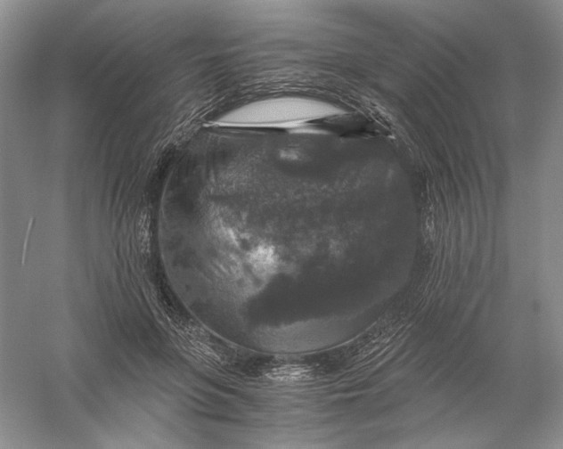 X0000056000551200509092048