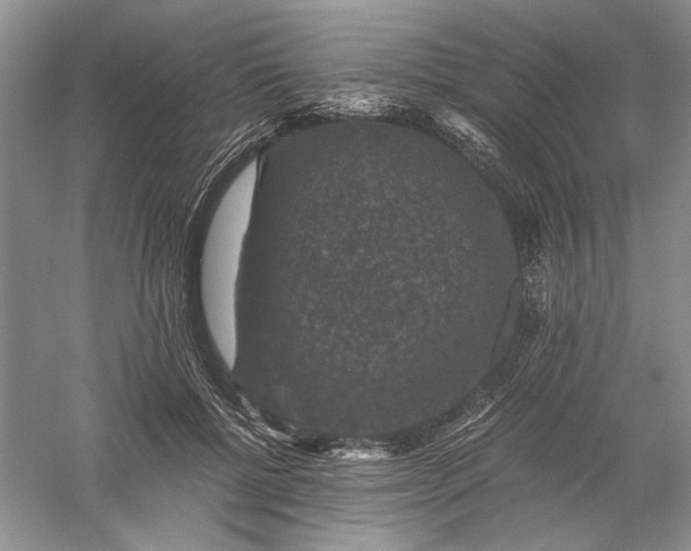 X0000056000552200509092048