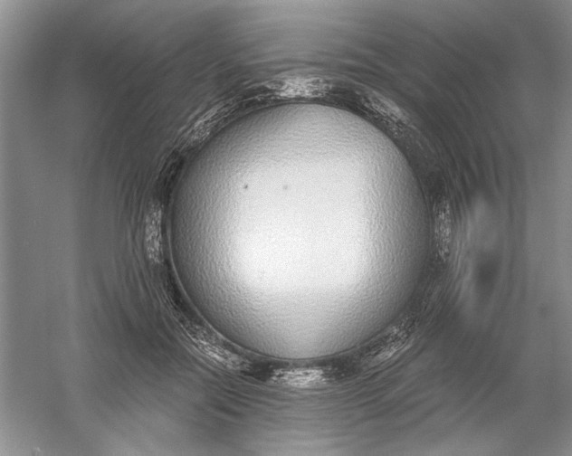 X0000056000554200509092048