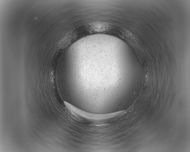 X0000056000555200509092048