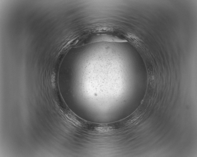 X0000056000556200509092048