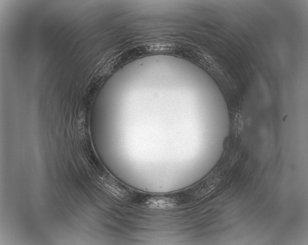 X0000056000557200509092048