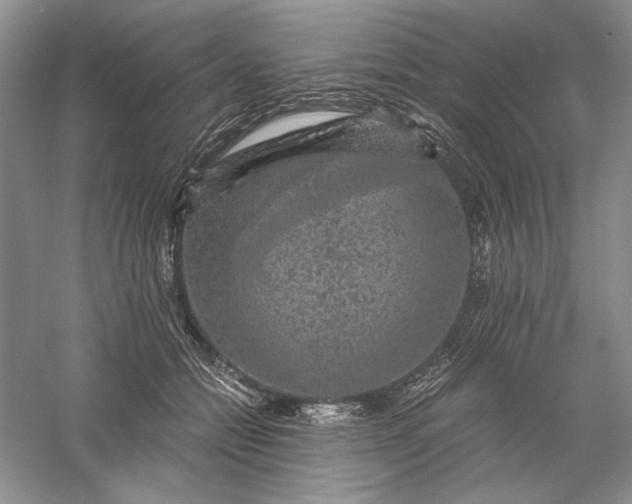 X0000056000558200509092049