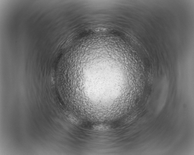 X0000056000561200509092049