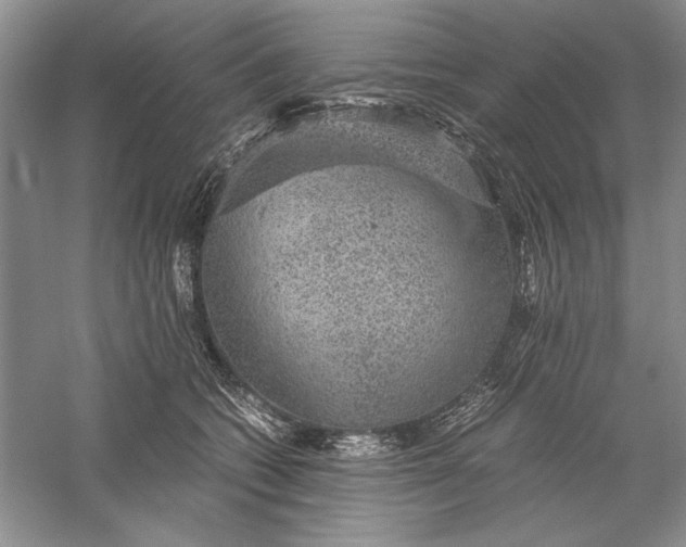 X0000056000562200509092049