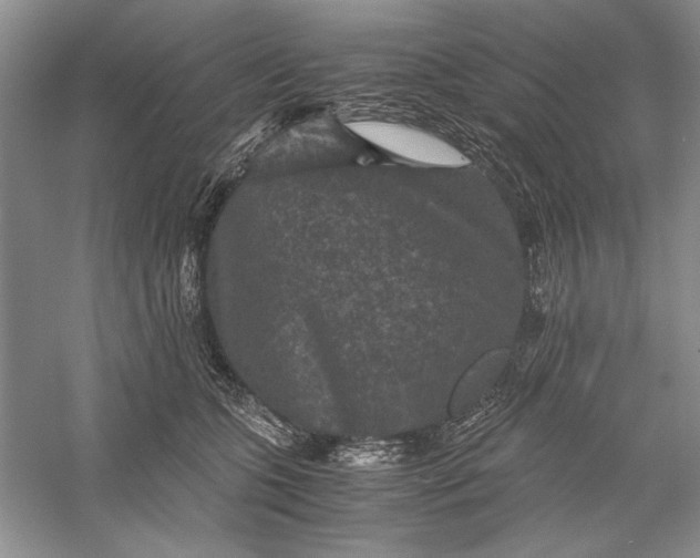 X0000056000563200509092049