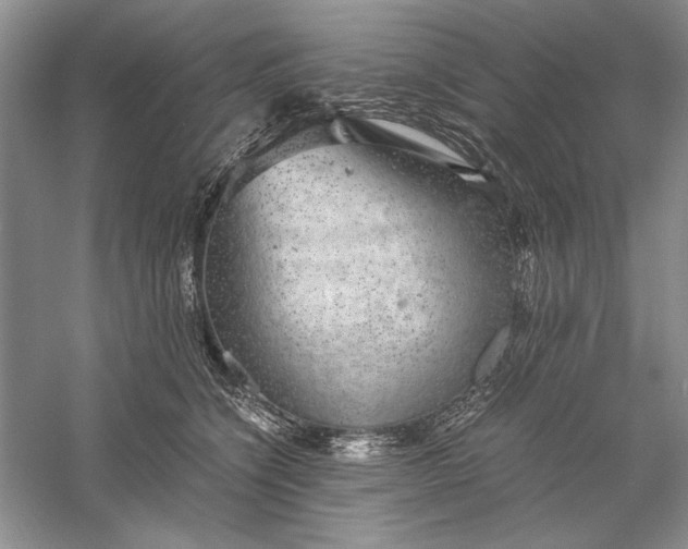 X0000056000564200509092049