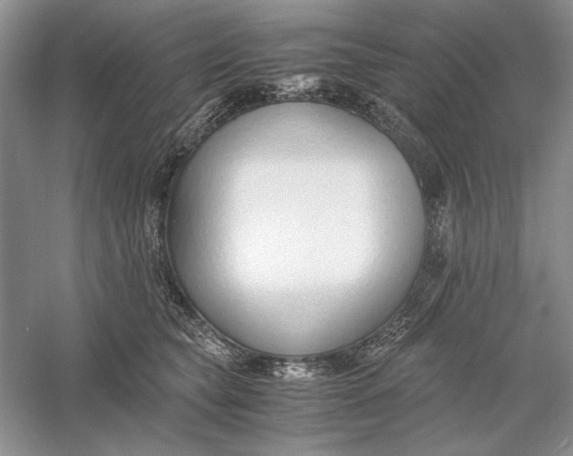 X0000056000565200509092049