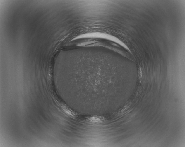 X0000056000566200509092049