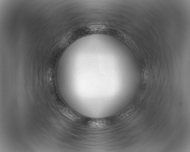 X0000056000567200509092049