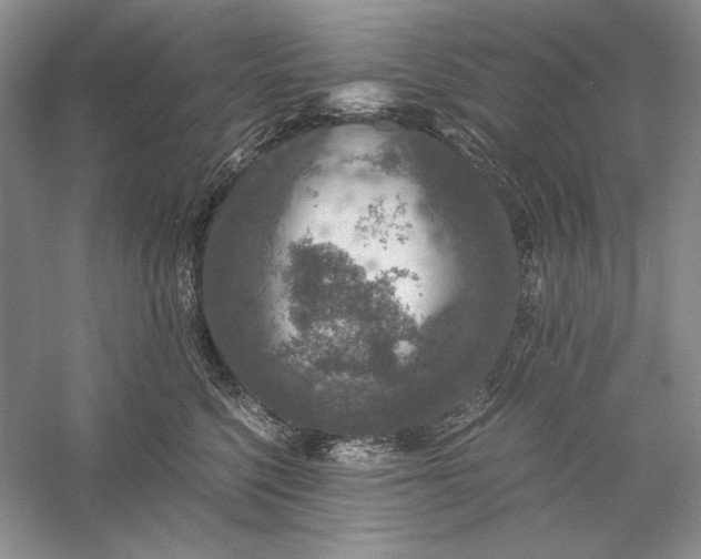 X0000056000568200509092049