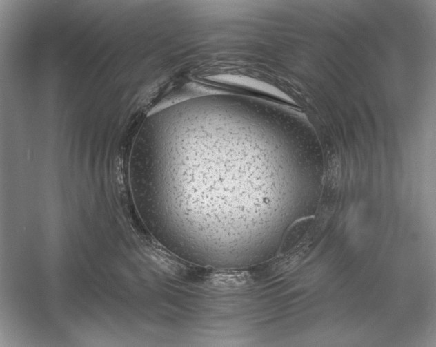 X0000056000571200509092049