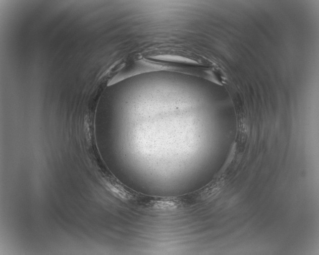 X0000056000572200509092049