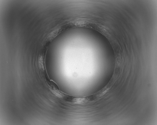 X0000056000575200509092049