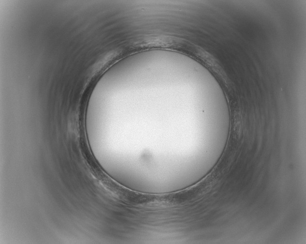 X0000056000578200509092048