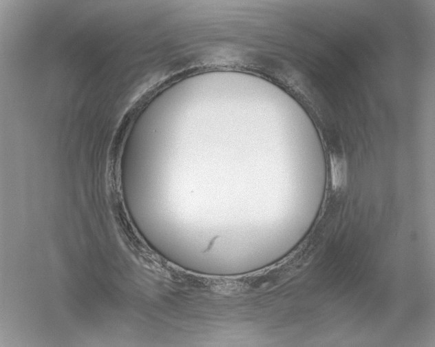 X0000056000579200509092048