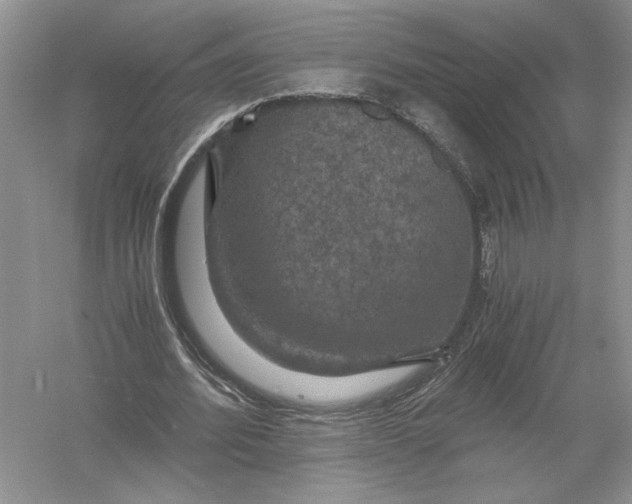 X0000056000580200509092048