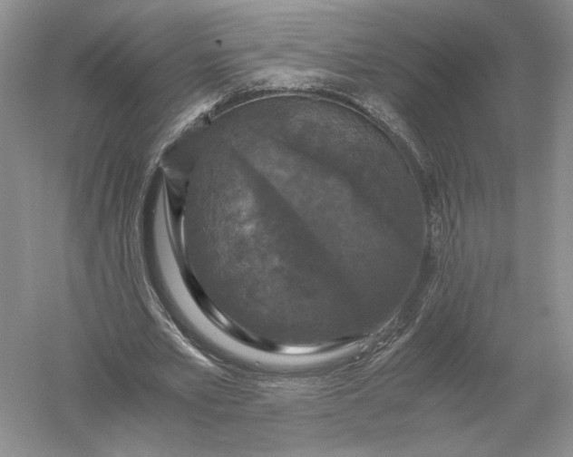 X0000056000581200509092048