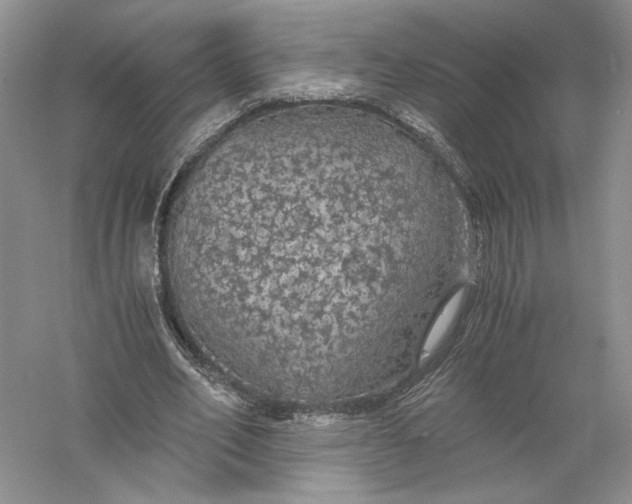 X0000056000582200509092048