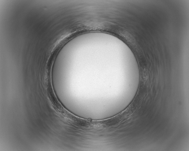 X0000056000583200509092048