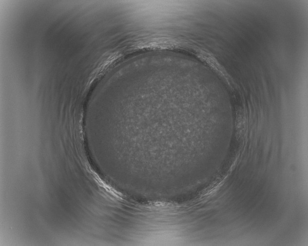 X0000056000585200509092048