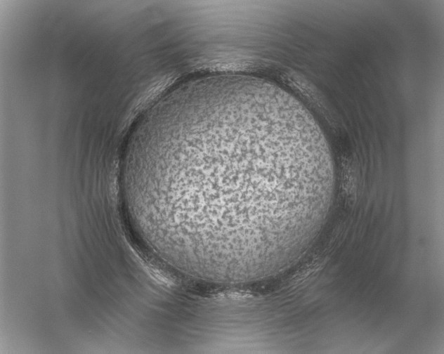 X0000056000586200509092048