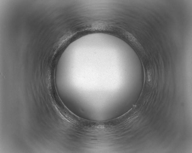 X0000056000588200509092048