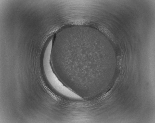 X0000056000589200509092048