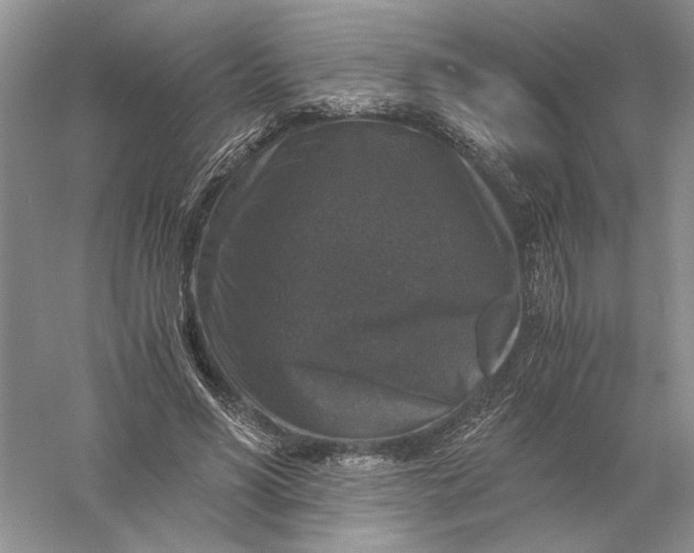 X0000056000590200509092048