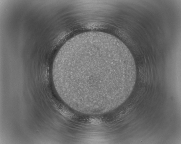 X0000056000592200509092048