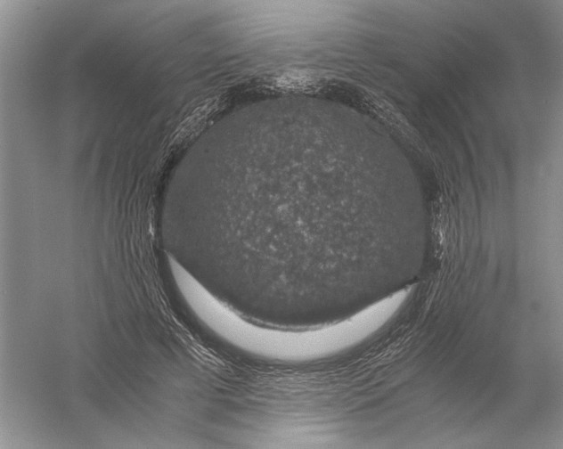 X0000056000593200509092048