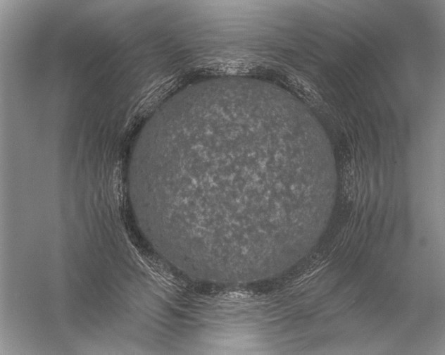 X0000056000594200509092048