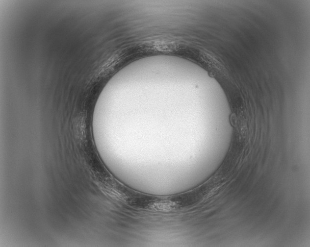 X0000056000595200509092048