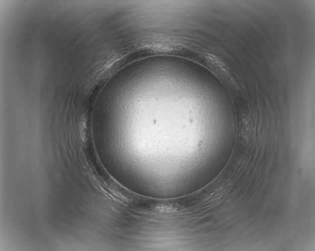 X0000056000596200509092048