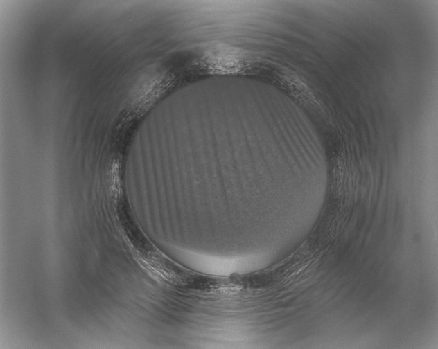 X0000056000598200509092048