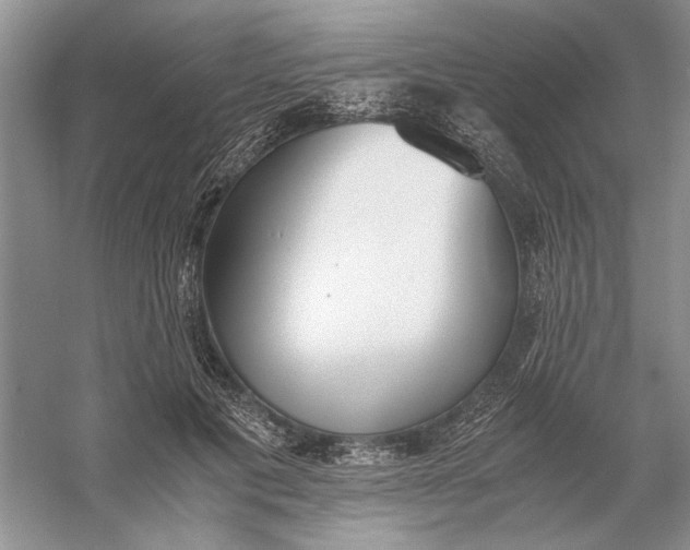 X0000056000601200509092048