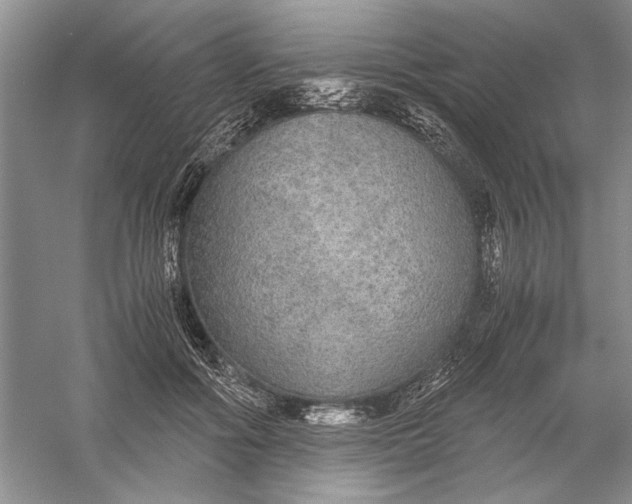 X0000056000602200509092048