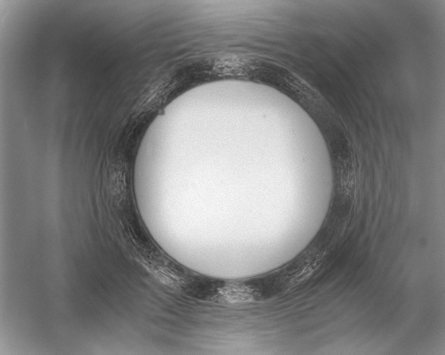 X0000056000603200509092048