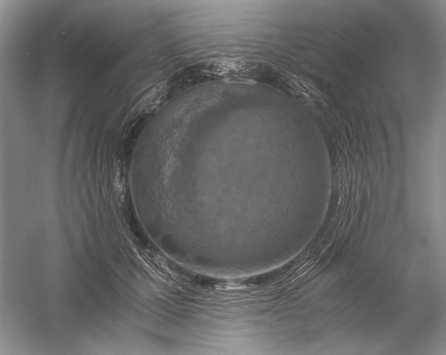 X0000056000607200509092047