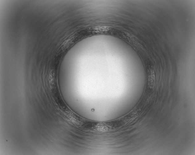 X0000056000608200509092047