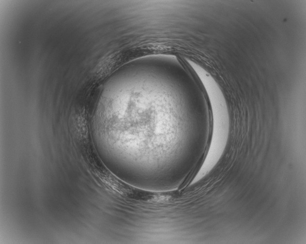 X0000056000609200509092047