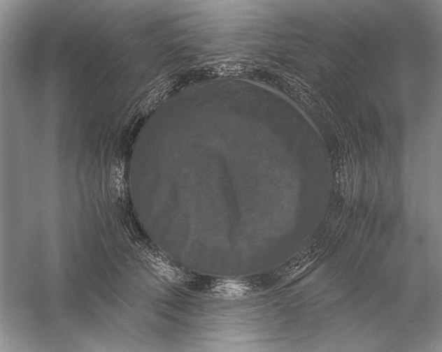 X0000056000610200509092047