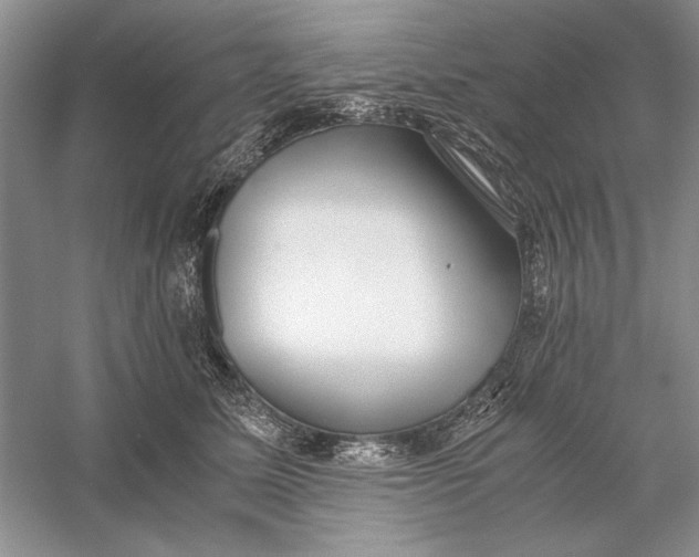 X0000056000611200509092047