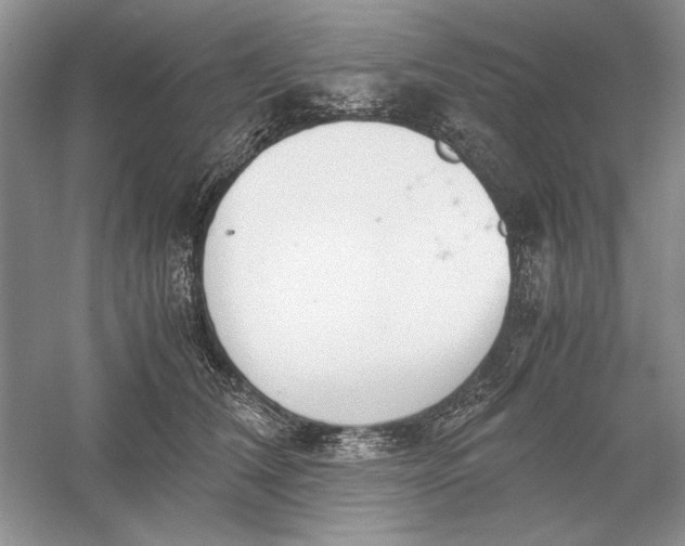 X0000056000612200509092047