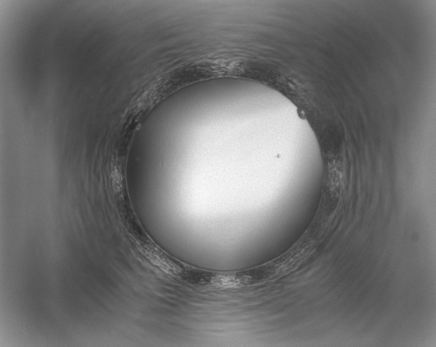 X0000056000613200509092047