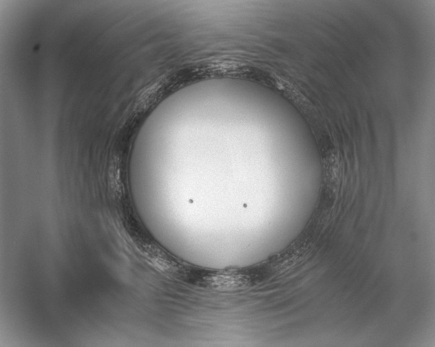 X0000056000615200509092047