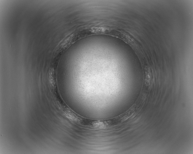 X0000056000616200509092047