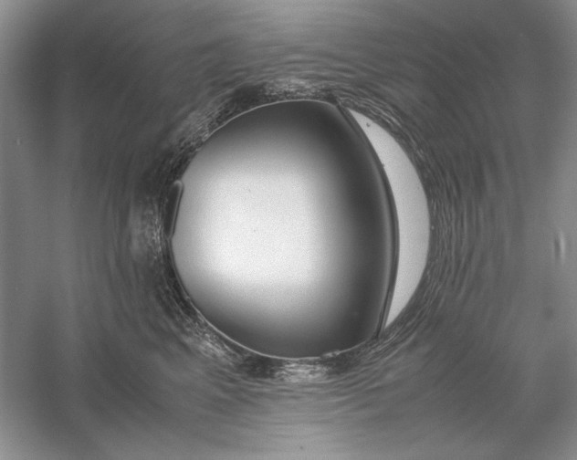 X0000056000617200509092047